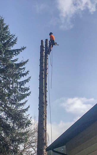 Herfords Tree Care - Residetial